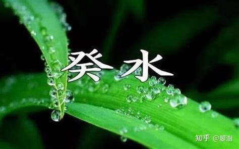 癸水 壬水|癸水